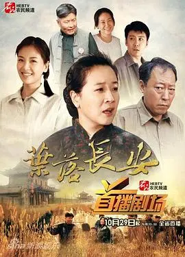《叶落长安》：河南人在西安的奋斗史诗，平凡人物谱写感人至深的时代变迁