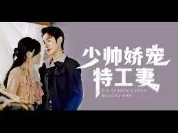 《少帅娇宠特工妻》：乱世红颜，谍战风云中的爱恨情仇与家国大义